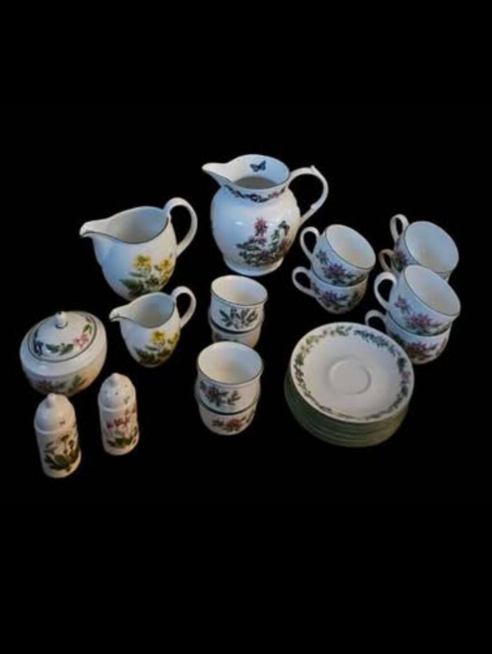 *New Royal Worchester Herbs Set w/Portmeirion Salt and Pepper Shakers